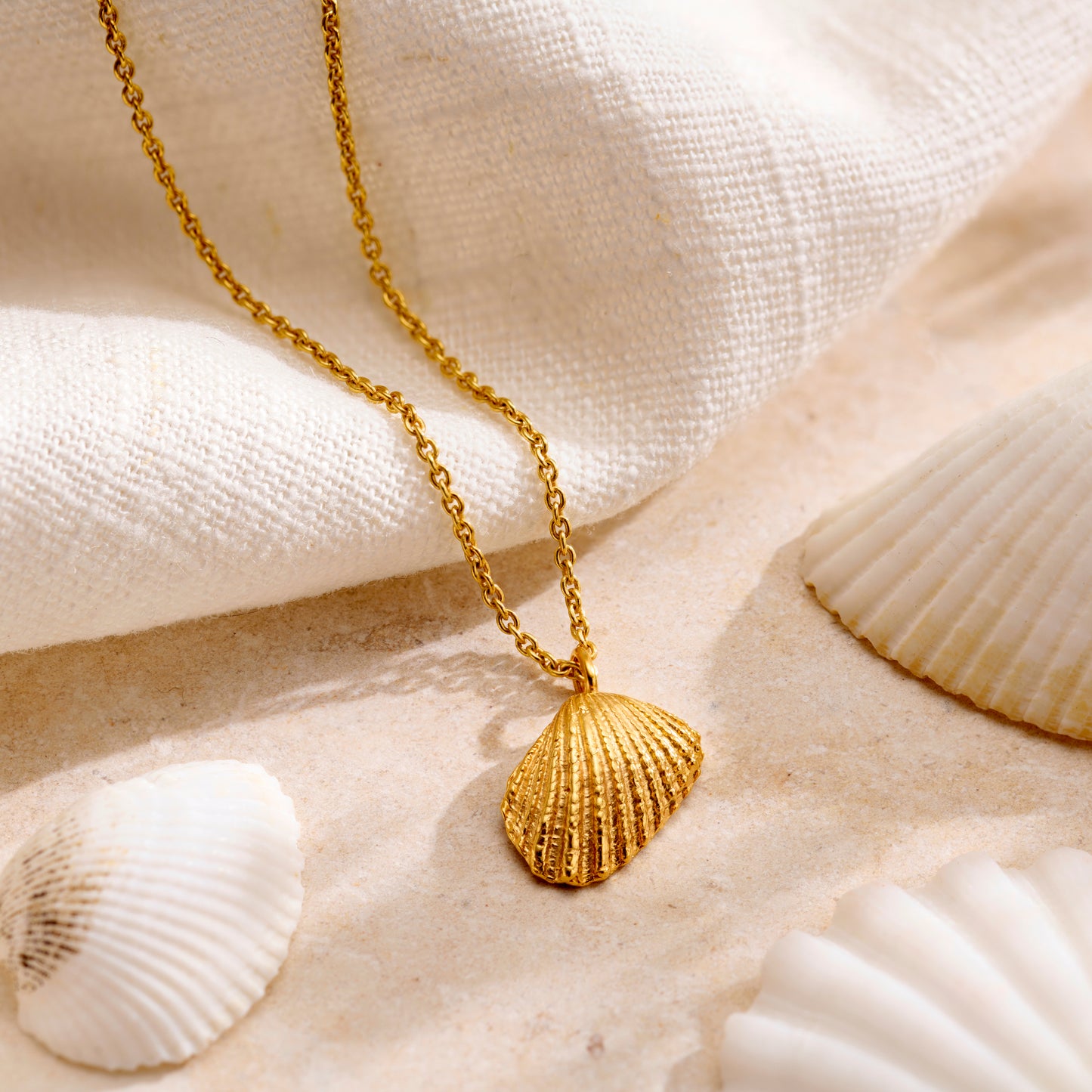 Mini Angel Shell Necklace