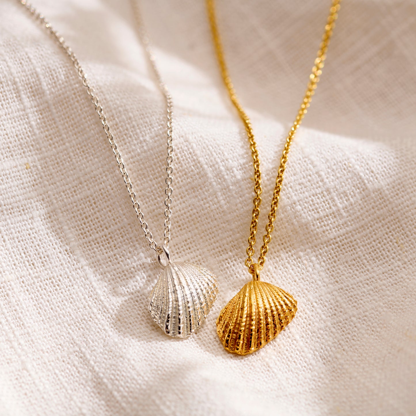 Mini Angel Shell Necklace