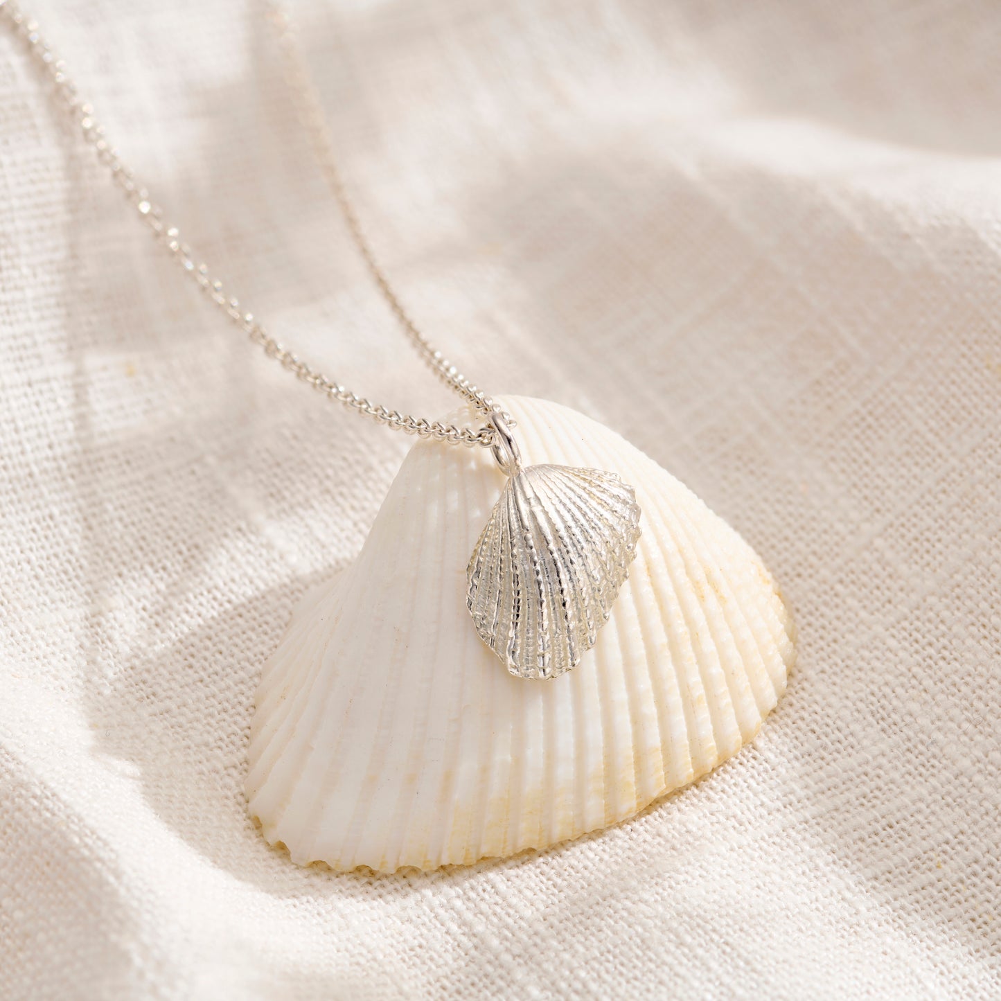 Mini Angel Shell Necklace