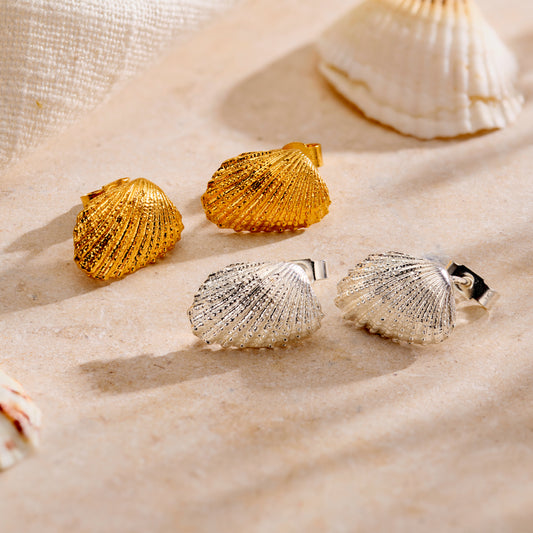Angel Shell Stud Earrings