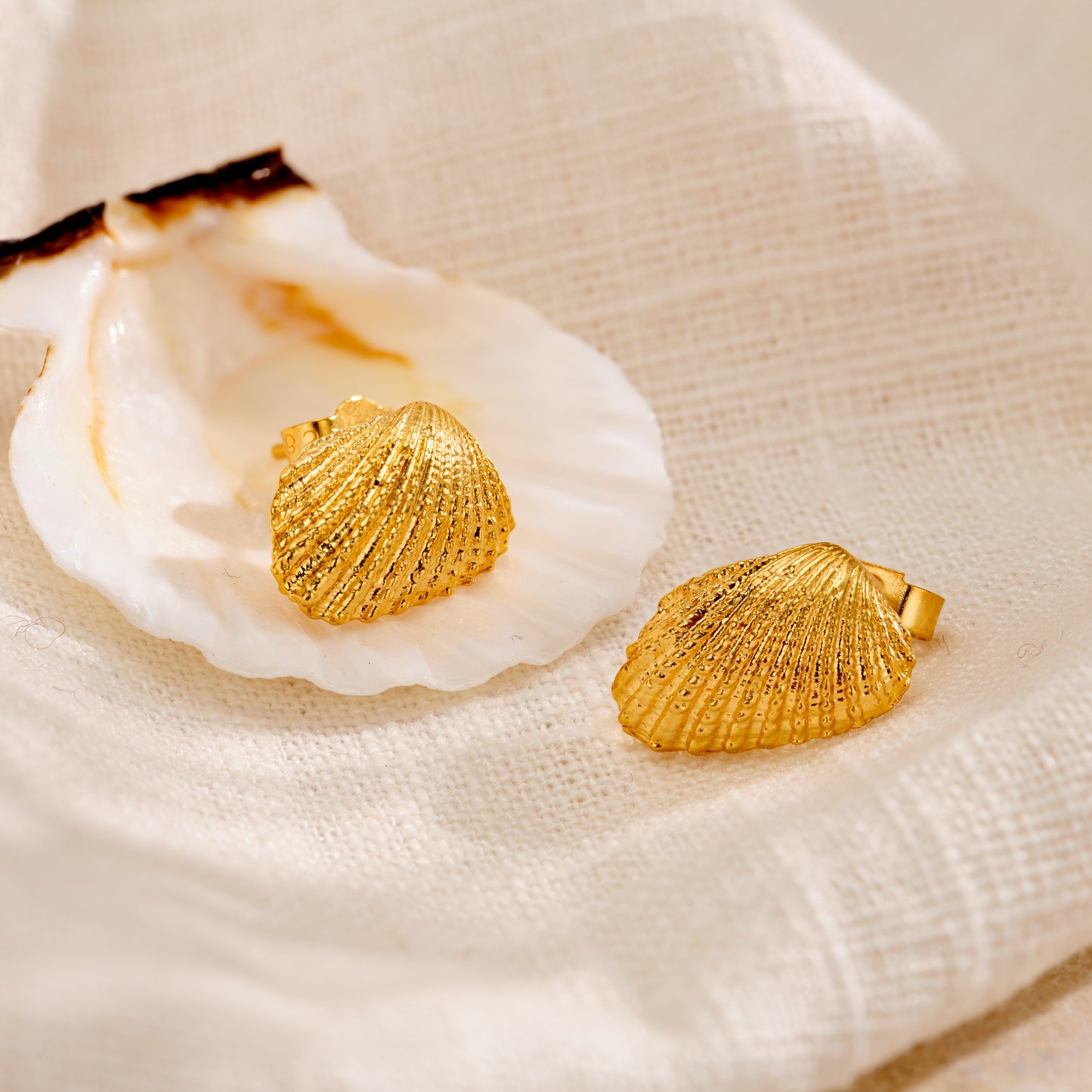 Angel Shell Stud Earrings