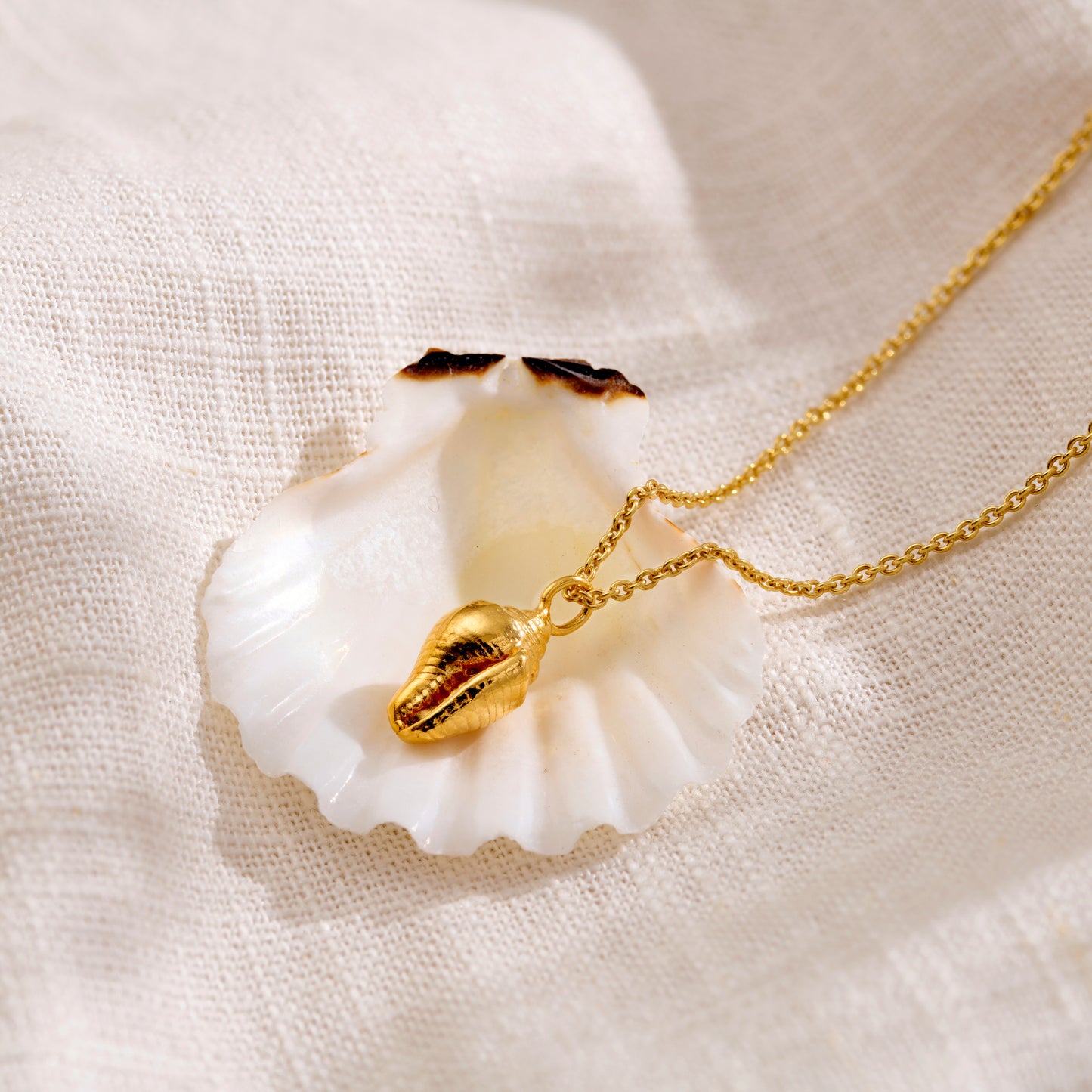 Cone Shell Necklace