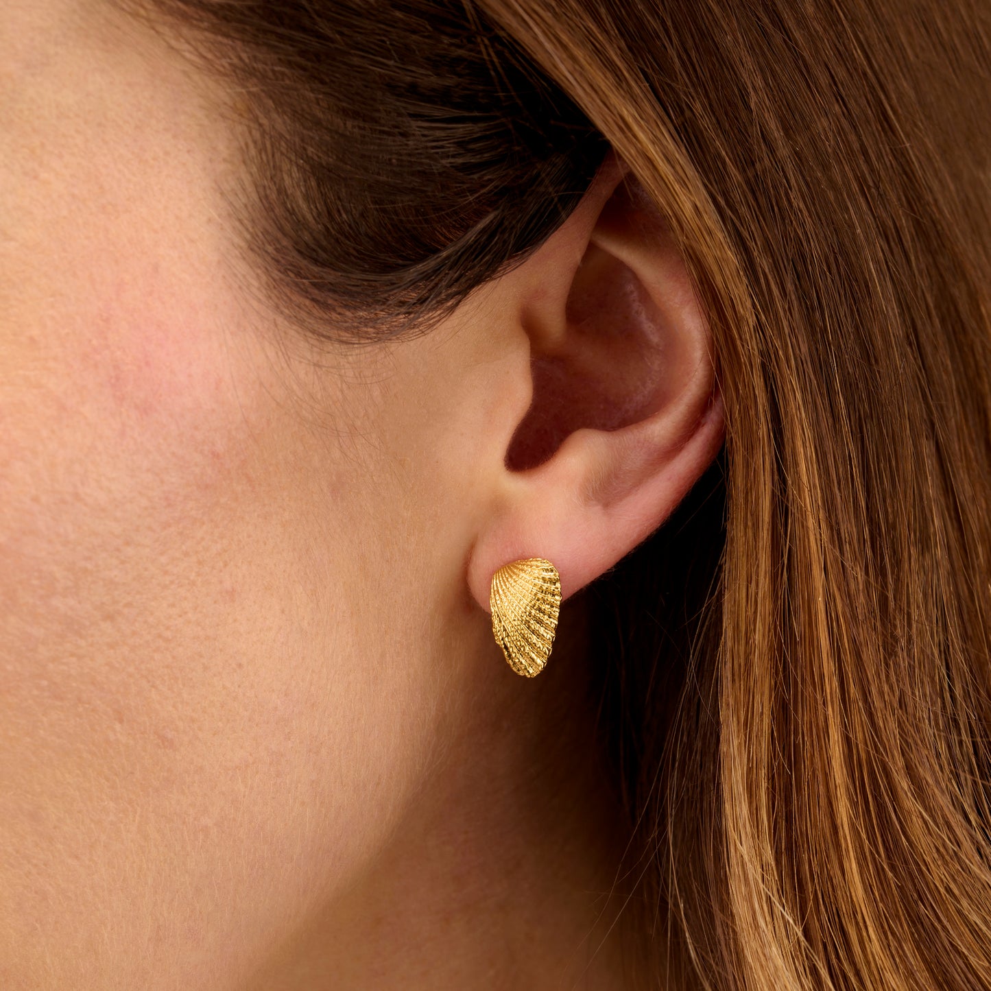 Angel Shell Stud Earrings
