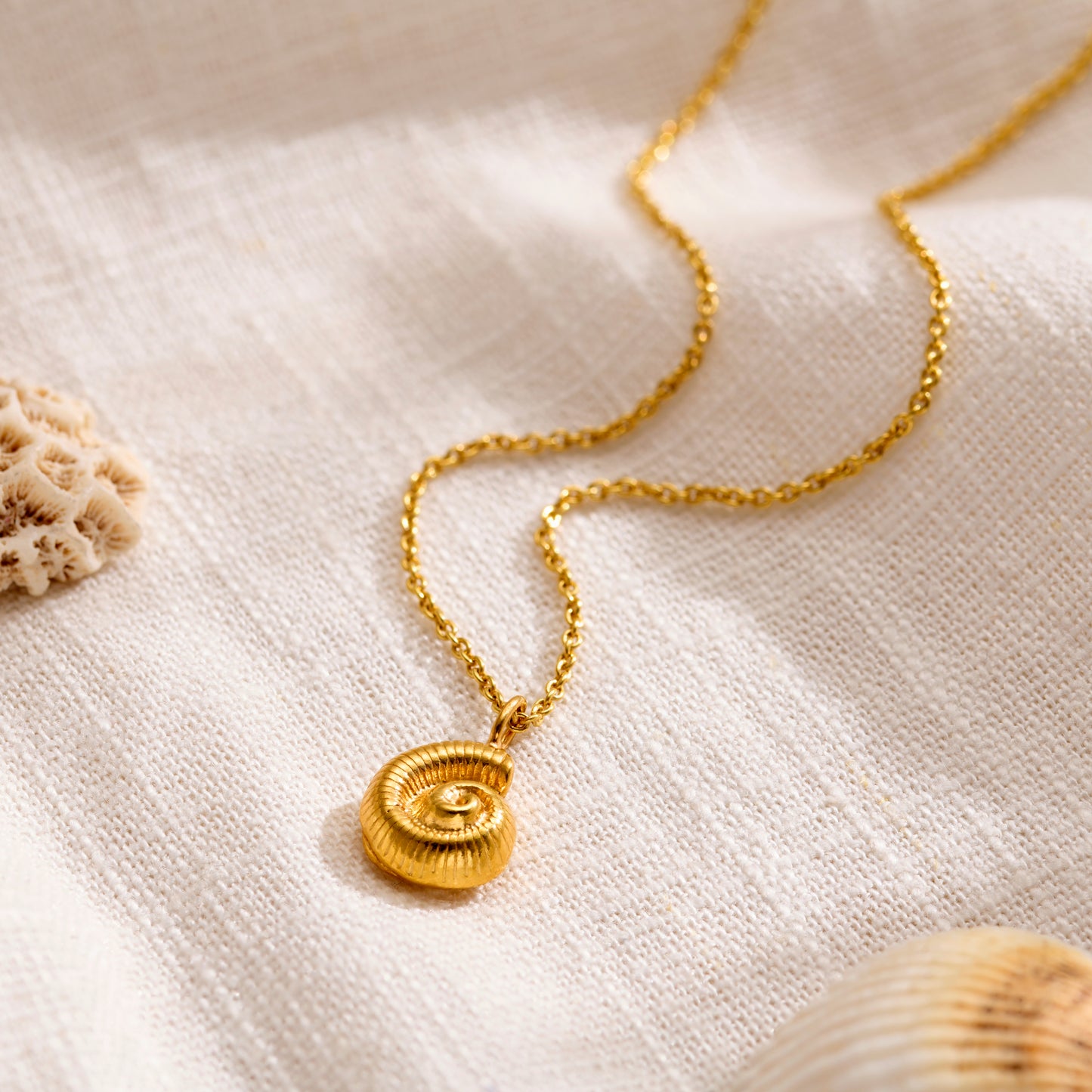 Mini Nautilus Shell Necklace