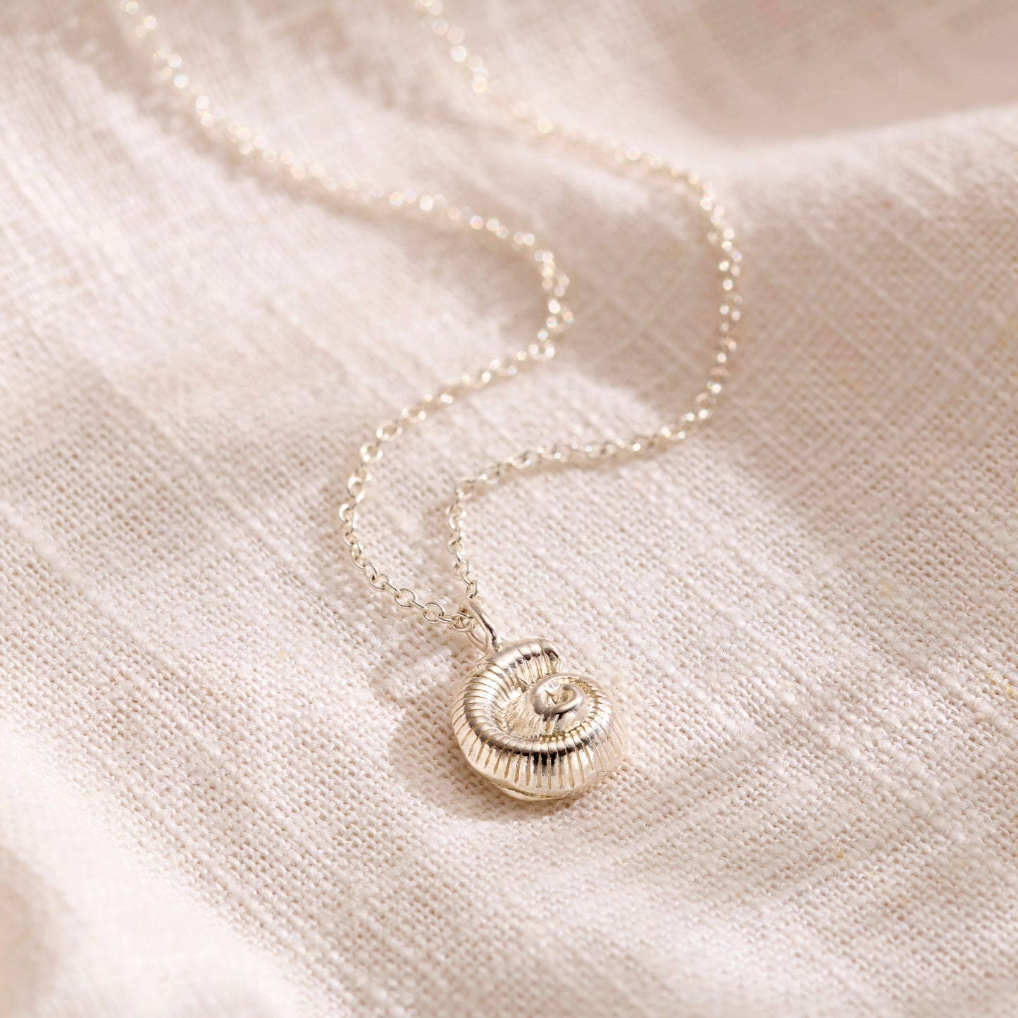 Mini Nautilus Shell Necklace