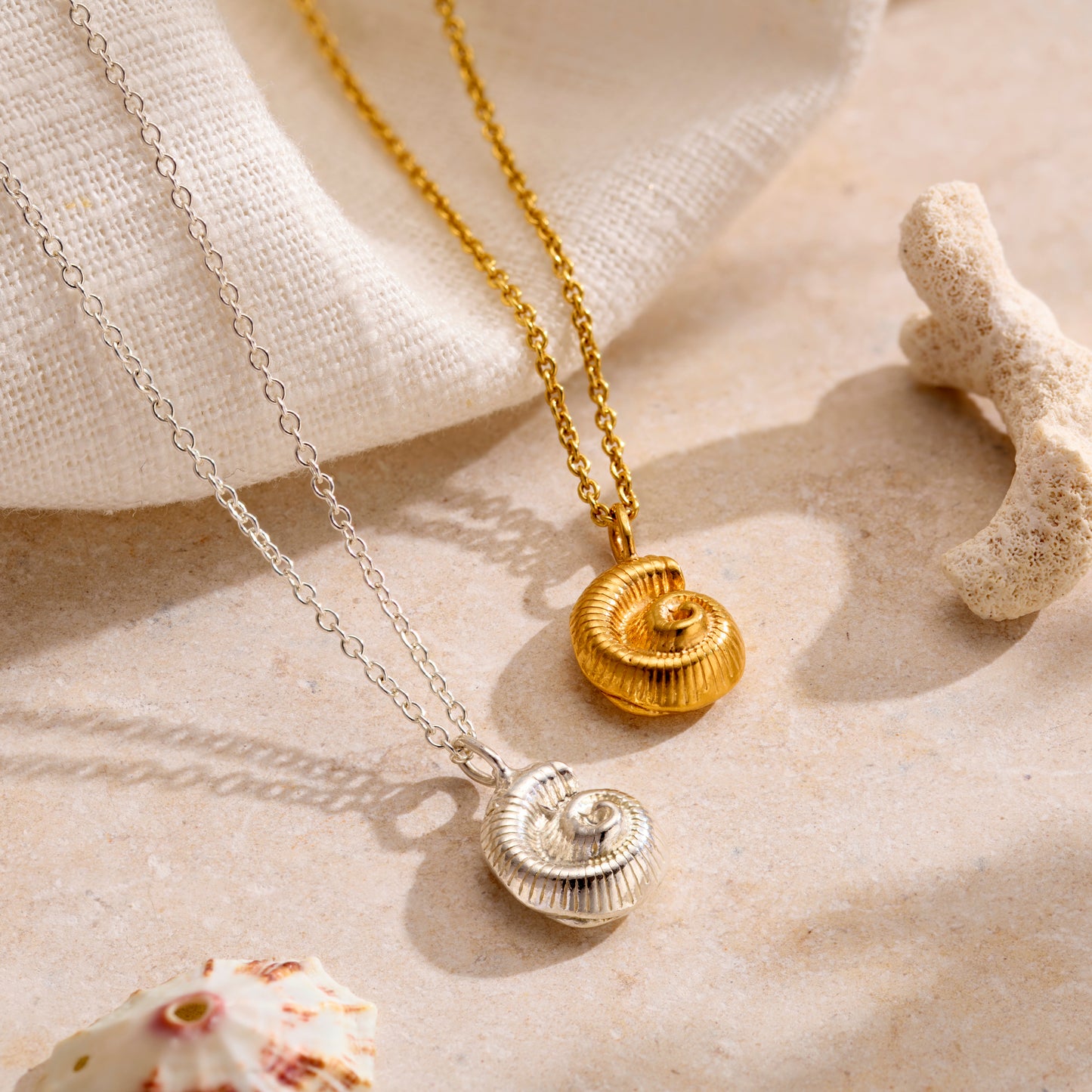 Mini Nautilus Shell Necklace