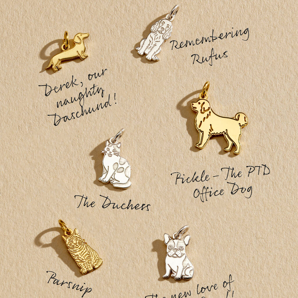 Personalised Pet Cat Dinky Charm Bracelet