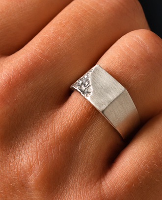 Christmas jewellery — signet